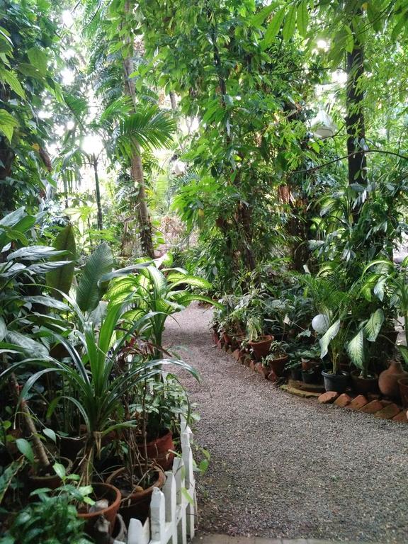 Green Woods Bethlehem Kochi Екстер'єр фото