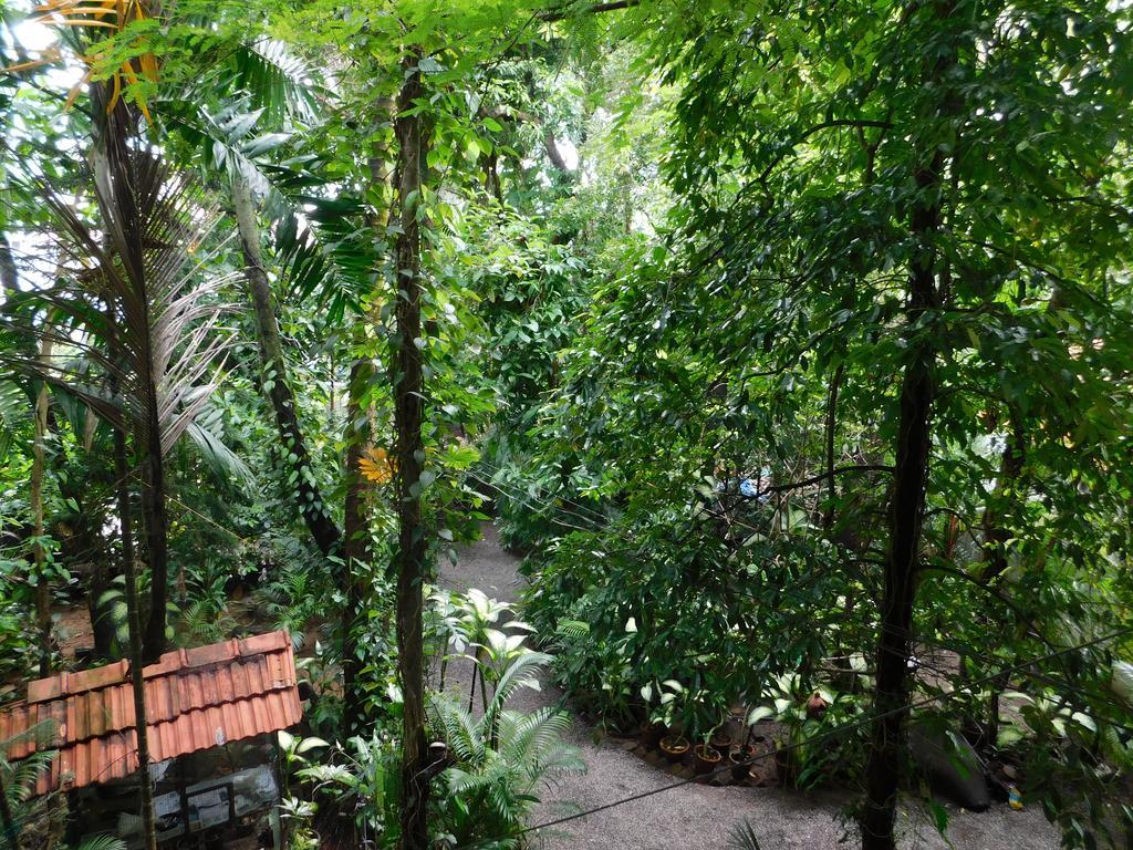 Green Woods Bethlehem Kochi Екстер'єр фото