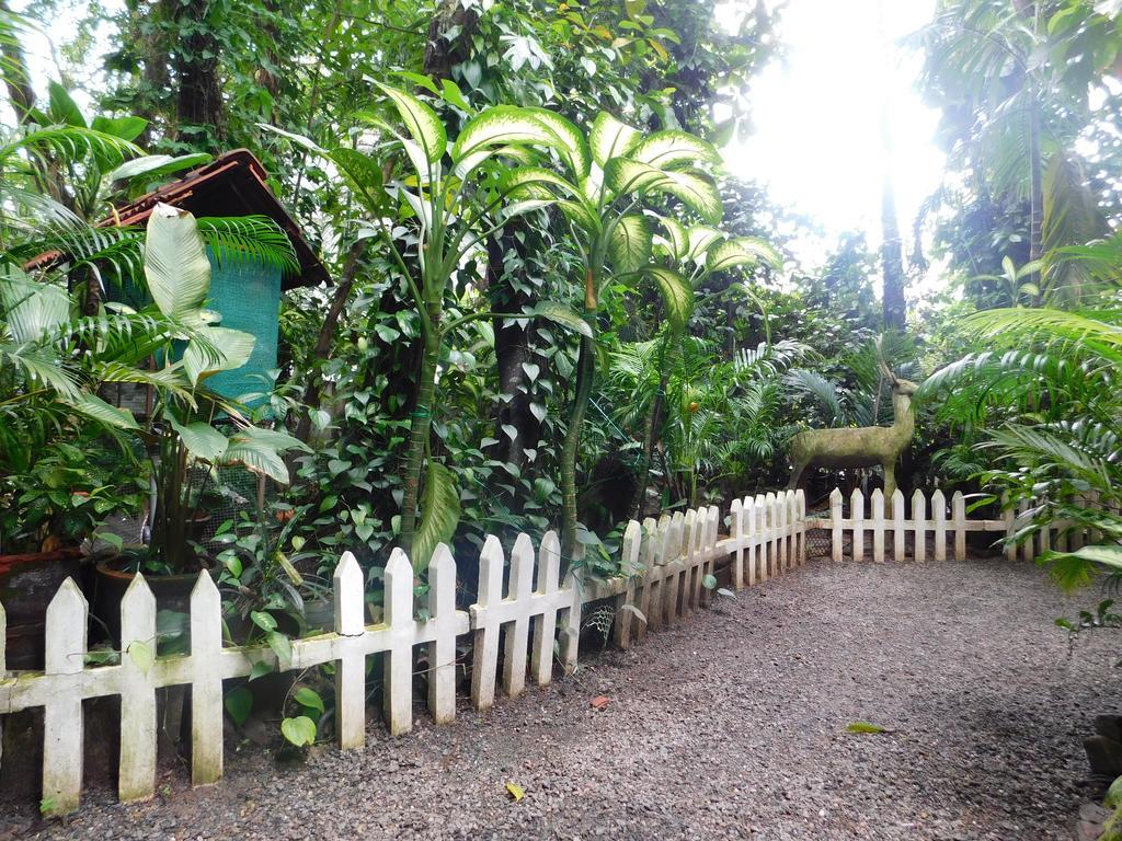 Green Woods Bethlehem Kochi Екстер'єр фото
